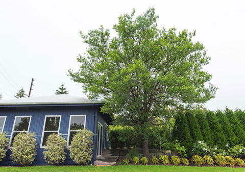 S T U D I O 22 Peaceful Retreat With Garden Views - Holiday Sunshine Coast 11