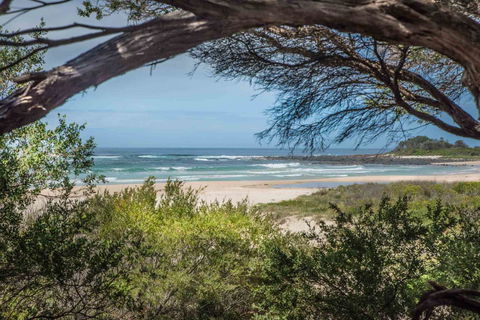 BIG4 Tasman Holiday Parks - Racecourse Beach - Sunshine Coast Tourism 7