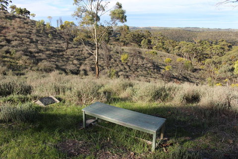 Molly's Chase - Holiday Sunshine Coast 31