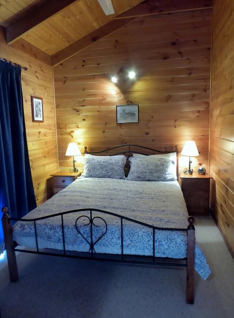 Molly's Chase - Holiday Sunshine Coast 5