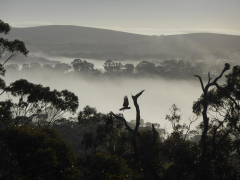 Molly's Chase - Holiday Sunshine Coast 28