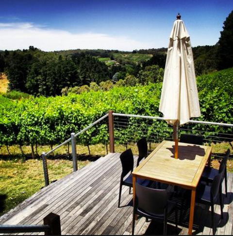 Monaco Court Apartment Adelaide - Sunshine Coast Tourism 27