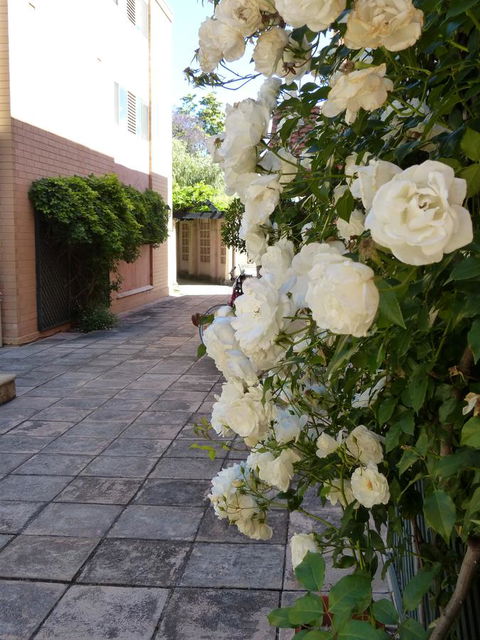 Monaco Court Apartment Adelaide - Sunshine Coast Tourism 19