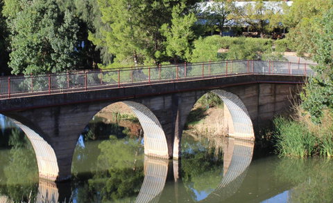 Hillside Cottage - Sunshine Coast Tourism 13