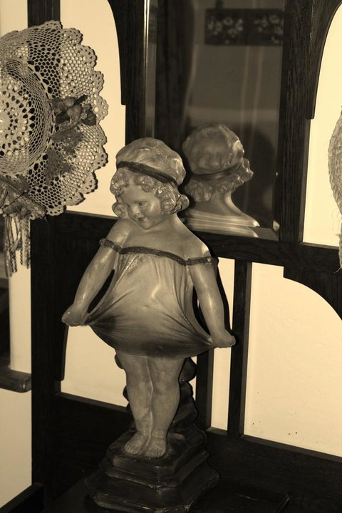 Hillside Cottage - Sunshine Coast Tourism 5