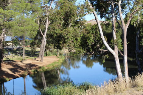 Hillside Cottage - Sunshine Coast Tourism 11