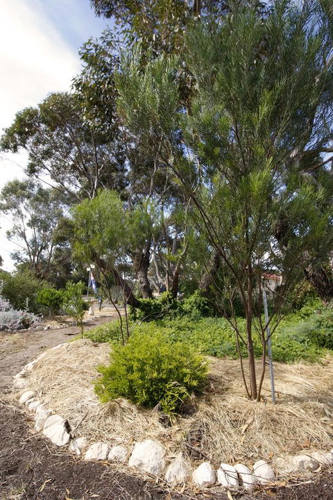 Cape Jervis Holiday Units - Sunshine Coast Tourism 15