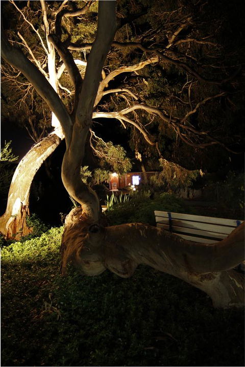 Cape Jervis Holiday Units - Sunshine Coast Tourism 14