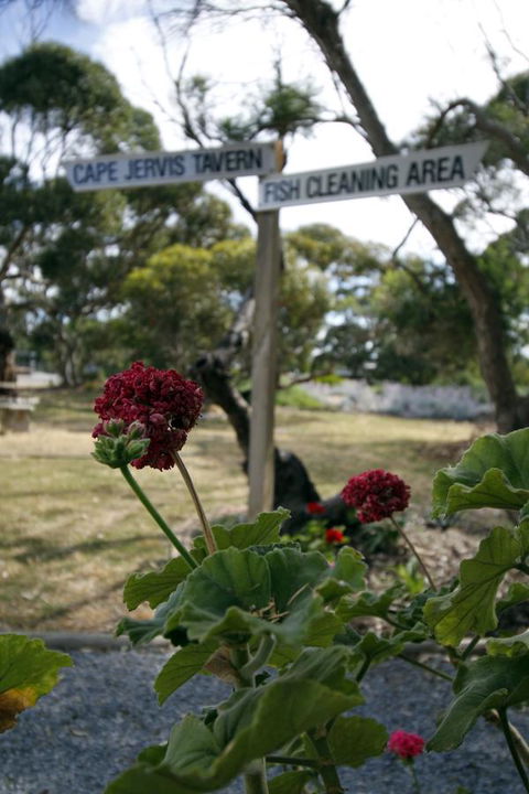 Cape Jervis Holiday Units - Sunshine Coast Tourism 13