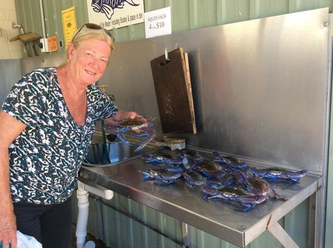 Ceduna Foreshore Caravan Park - Sunshine Coast Tourism 28