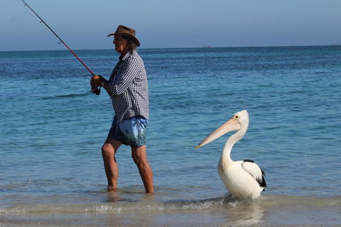 Ceduna Foreshore Caravan Park - Sunshine Coast Tourism 21