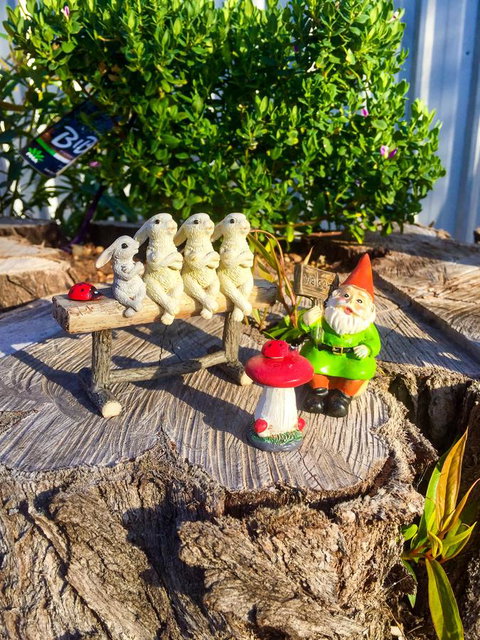 Inglenook Cottage - Sunshine Coast Tourism 34