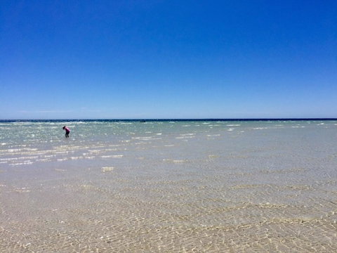 Inglenook Cottage - Sunshine Coast Tourism 37