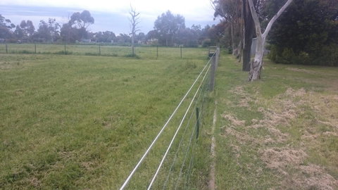 Gaerwood B&B - Sunshine Coast Tourism 17