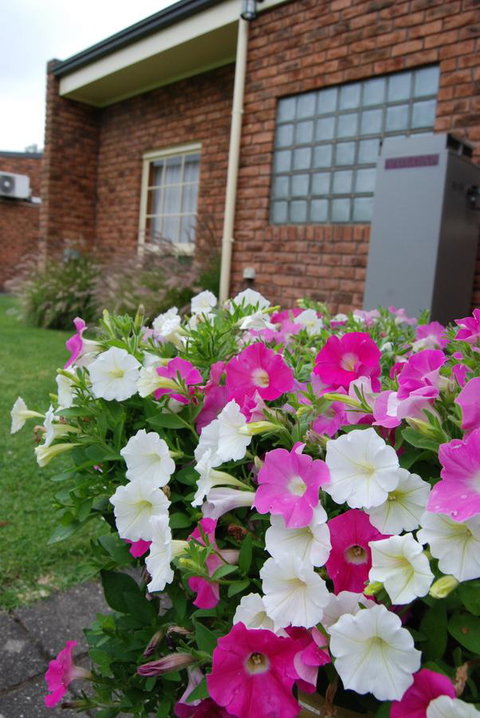 Arkana Motor Inn & Terrace Apartments - Sunshine Coast Tourism 40