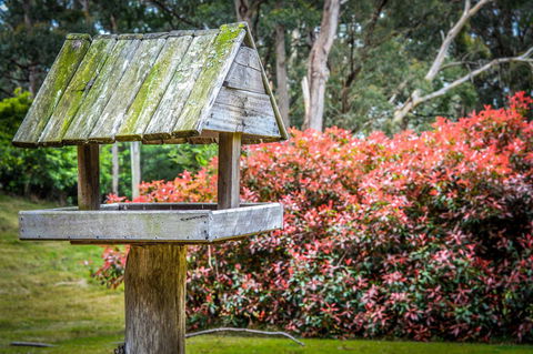 Ghost Hill Road Retreat - Sunshine Coast Tourism 17