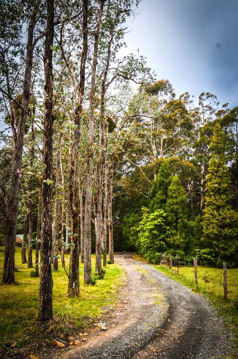 Ghost Hill Road Retreat - Sunshine Coast Tourism 14