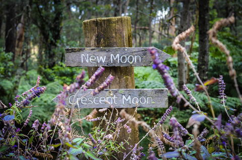Ghost Hill Road Retreat - Sunshine Coast Tourism 15