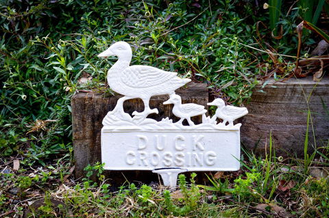 Ghost Hill Road Retreat - Sunshine Coast Tourism 23