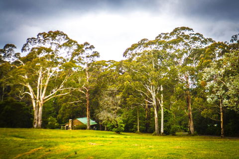 Ghost Hill Road Retreat - Sunshine Coast Tourism 8