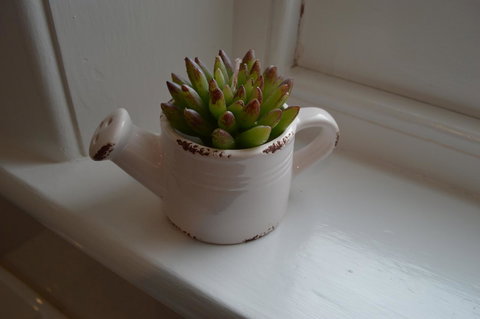 Two Cow Cottage Bed & Breakfast - Holiday Sunshine Coast 21