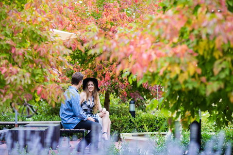 The Studios By Manna, Ascend Hotel Collection - Sunshine Coast Tourism 26