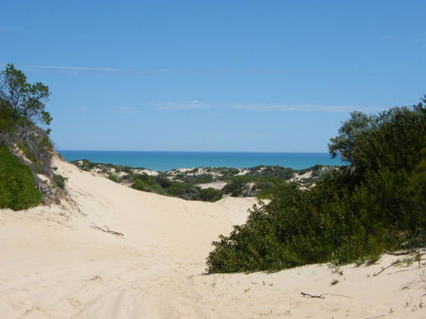 Coorong Waterfront Retreat - Sunshine Coast Tourism 23