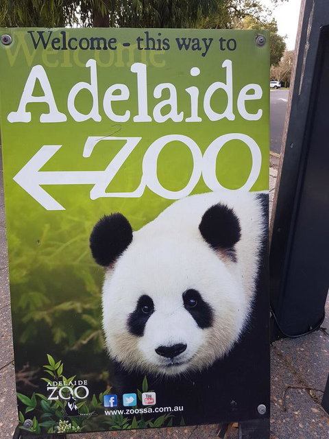 Adelaide Style Accommodation-Close To City-North Adelaide-3 Bdrm- FREE Parking - Holiday Sunshine Coast 35