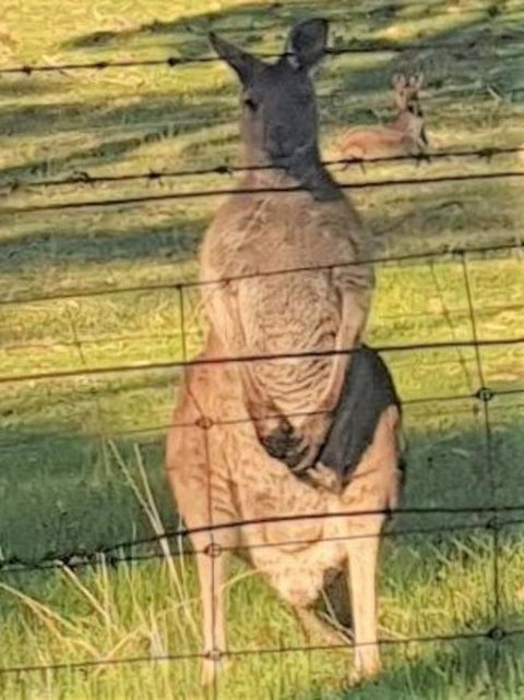 Adelaide Style Accommodation-Close To City-North Adelaide-3 Bdrm- FREE Parking - Holiday Sunshine Coast 25