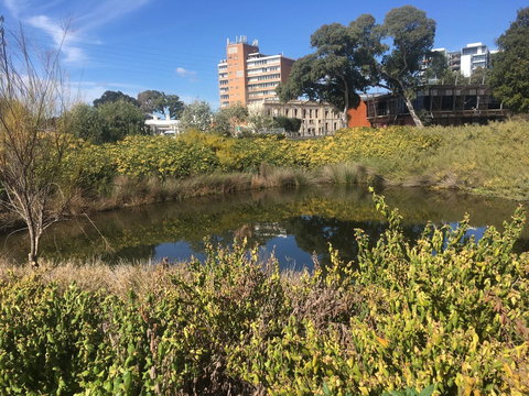 Adelaide Style Accommodation-Close To City-North Adelaide-3 Bdrm- FREE Parking - Holiday Sunshine Coast 40