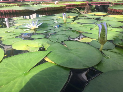 Adelaide Style Accommodation-Close To City-North Adelaide-3 Bdrm- FREE Parking - Holiday Sunshine Coast 41