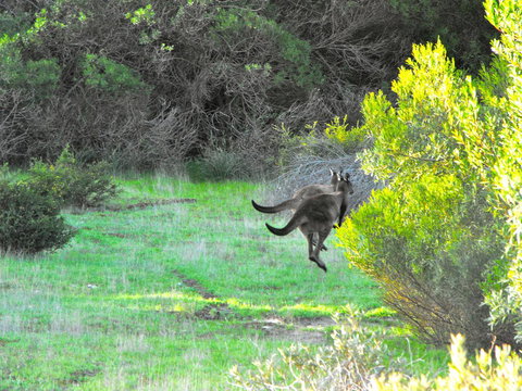 A Dune Escape - Sunshine Coast Tourism 25