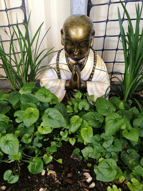 Hilda Anna's - Sunshine Coast Tourism 44