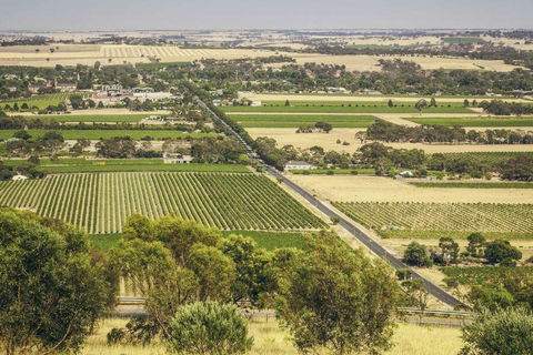 Angaston House - Sunshine Coast Tourism 18
