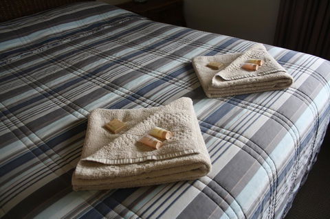 Isis Motel Scone - Sunshine Coast Tourism 3