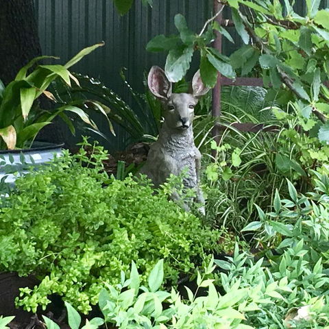 Hahndorf Oak Tree Cottages - Sunshine Coast Tourism 12