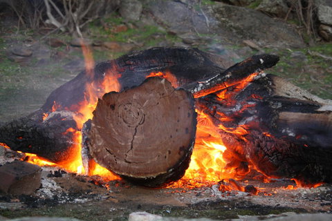Rabbiters Hut - Sunshine Coast Tourism 15