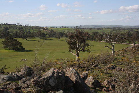 Rabbiters Hut - Sunshine Coast Tourism 28