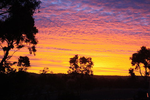 Rabbiters Hut - Sunshine Coast Tourism 33
