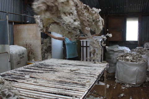 Rabbiters Hut - Sunshine Coast Tourism 19