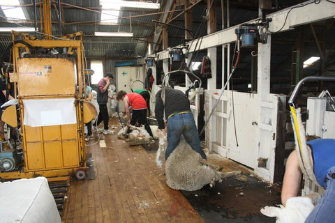 Rabbiters Hut - Sunshine Coast Tourism 18