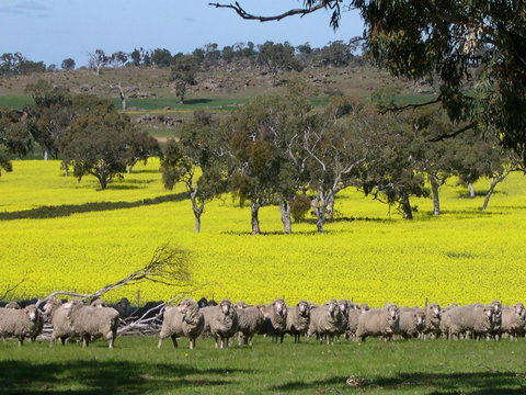 Rabbiters Hut - Sunshine Coast Tourism 16