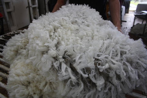 Rabbiters Hut - Sunshine Coast Tourism 20