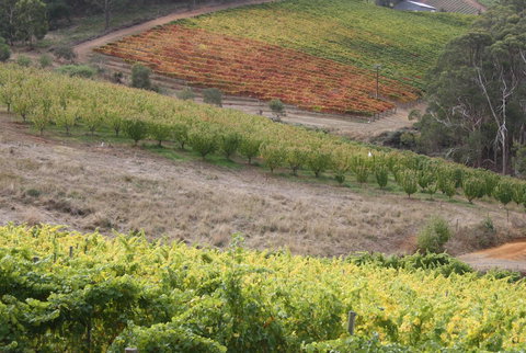 Rabbiters Hut - Sunshine Coast Tourism 25