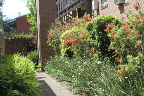 Adelaide DressCircle Apartments - Archer Street - Holiday Sunshine Coast 18