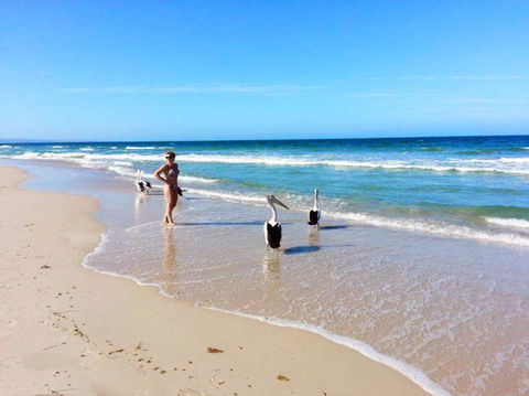 Atlantic West Beach Apartments - Holiday Sunshine Coast 22