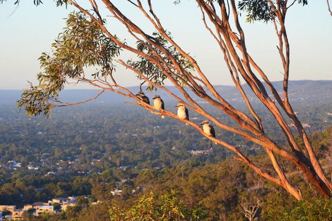 Kingsview Belair, Apartment Grand Views Of Adelaide - Sunshine Coast Tourism 1