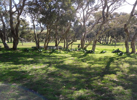 Wenton Farm Holiday Cottages - Sunshine Coast Tourism 1