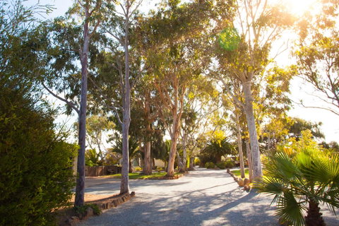 Modra\'s Apartments - Sunshine Coast Tourism 0