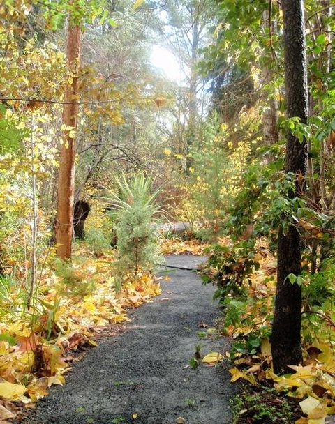 Aldgate Valley Bed And Breakfast - Holiday Sunshine Coast 43